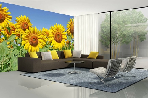 Vlies Fototapete - Sonnenblumenfeld 375 x 250 cm
